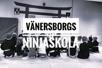 V&auml;nersborgs Ninjaskola